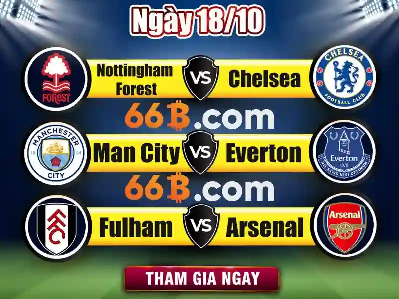 Trải nghiệm người dùng và phản hồi của cộng đồng