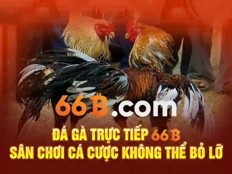 Đặc điểm kích thước và huấn luyện\n