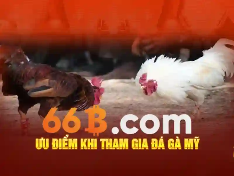66B: Mô hình ngôn ngữ khổng lồ và những tiềm năng