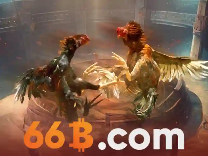 dublin bus 66b: trải nghiệm và giá trị thương hiệu