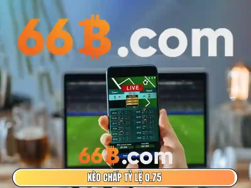 66b: một ký hiệu thú vị trong văn hóa số