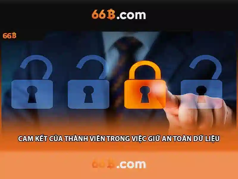 66b: khái niệm và tiềm năng