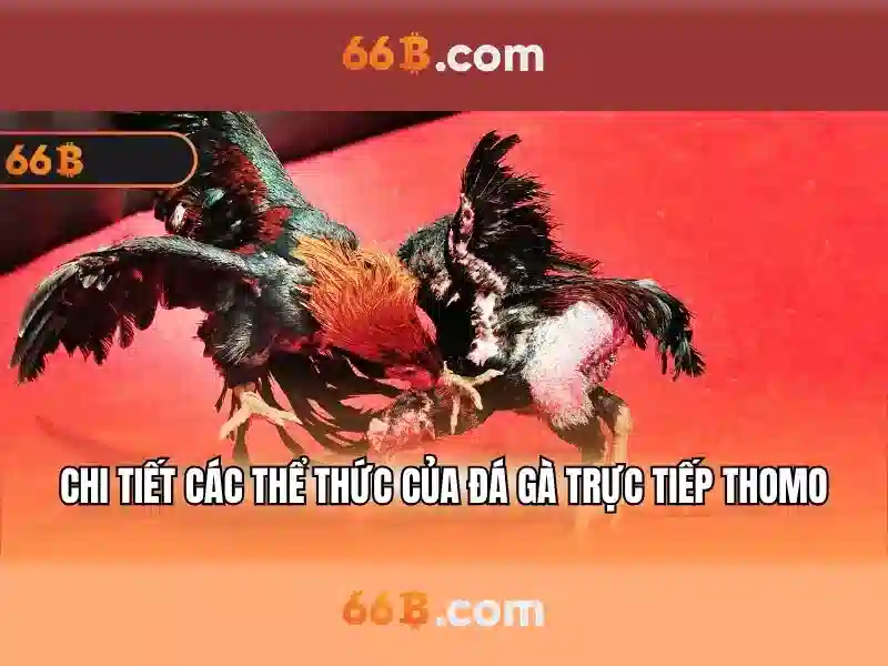 Tổng quan chủ đề và giá trị cốt lõi