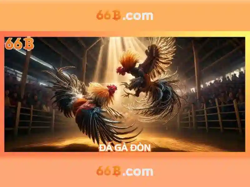 Đặc điểm kỹ thuật của 66B\n