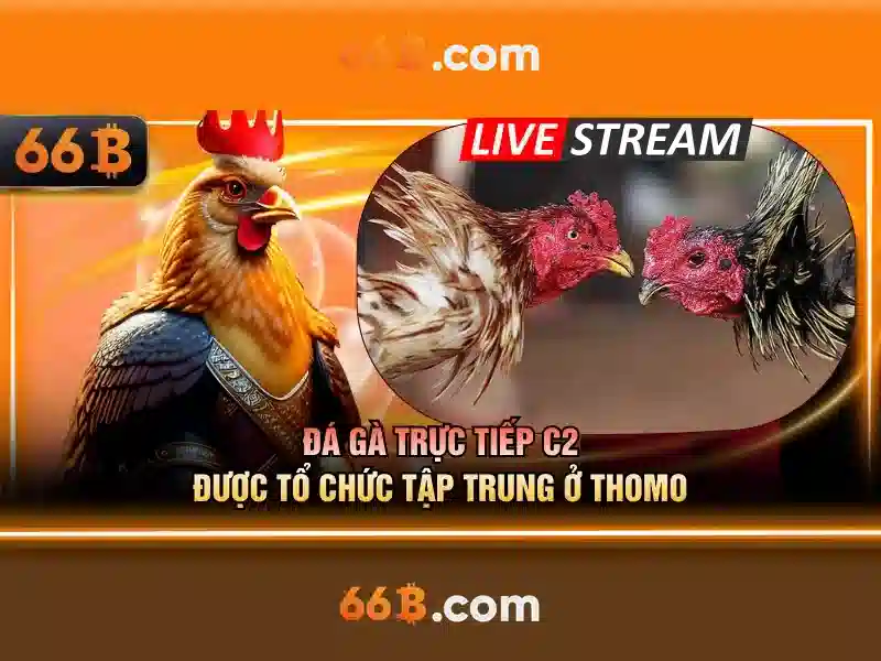 Triển vọng và thách thức của 66b