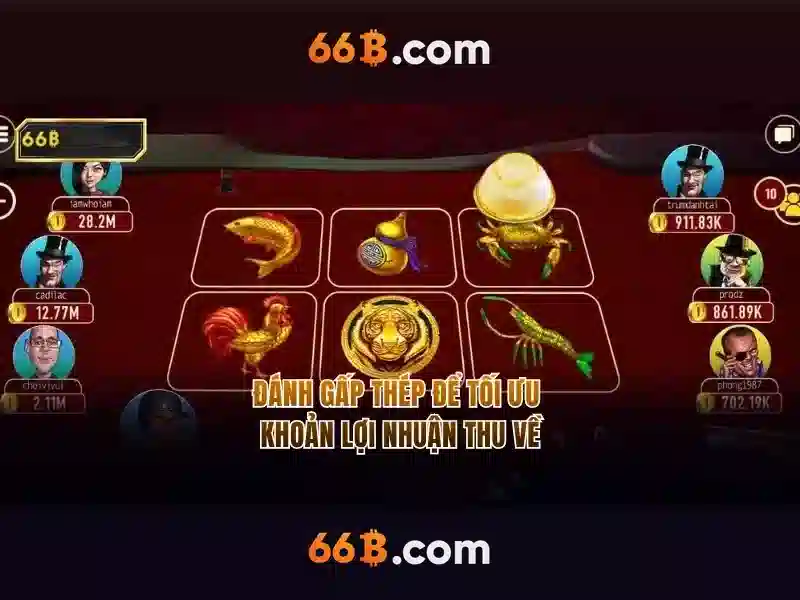 Trải nghiệm người dùng và phản hồi của cộng đồng