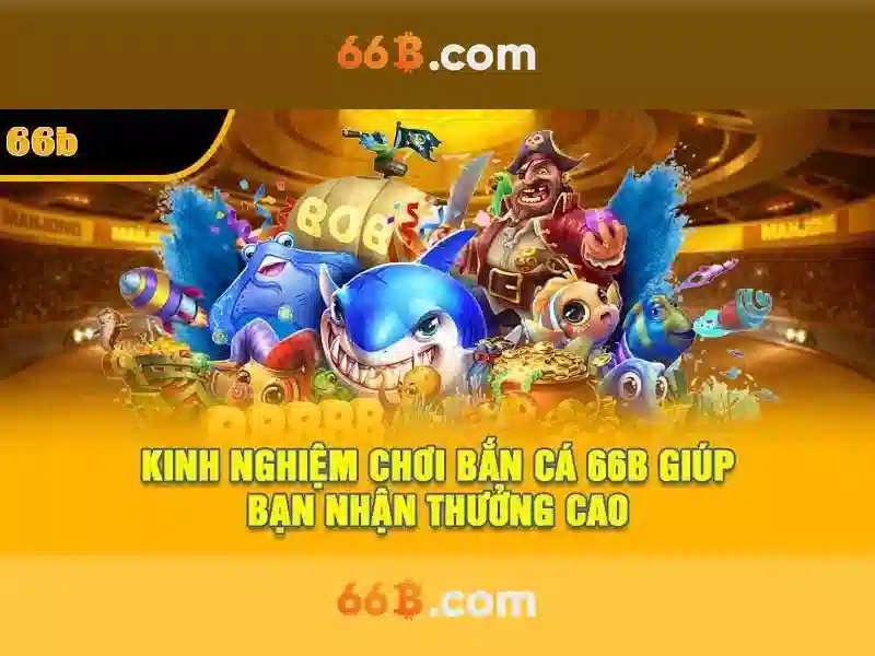 66b là gì và tại sao nó được quan tâm