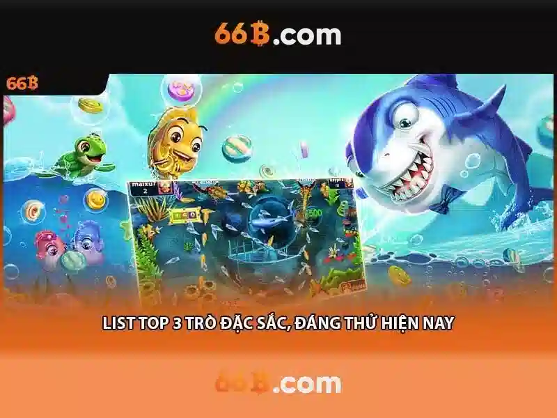 Khái niệm cơ bản về 66b