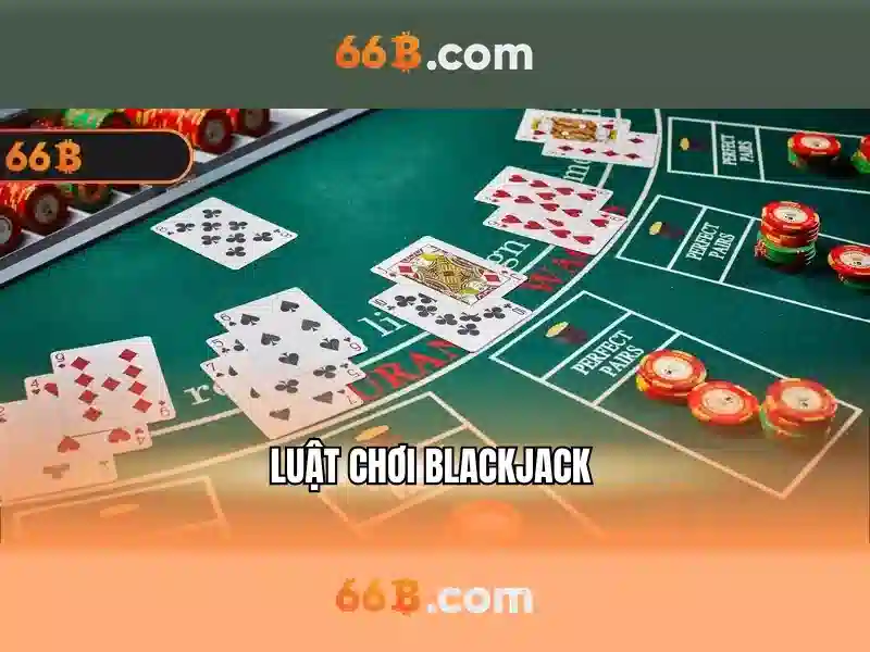 Cấu hình và quy mô