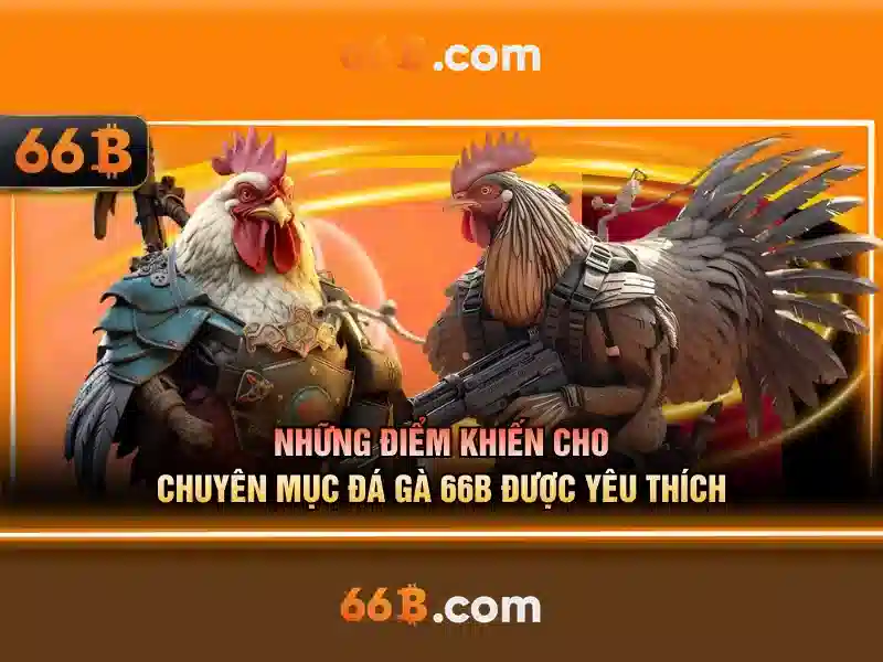 Các đặc điểm nổi bật của 66b