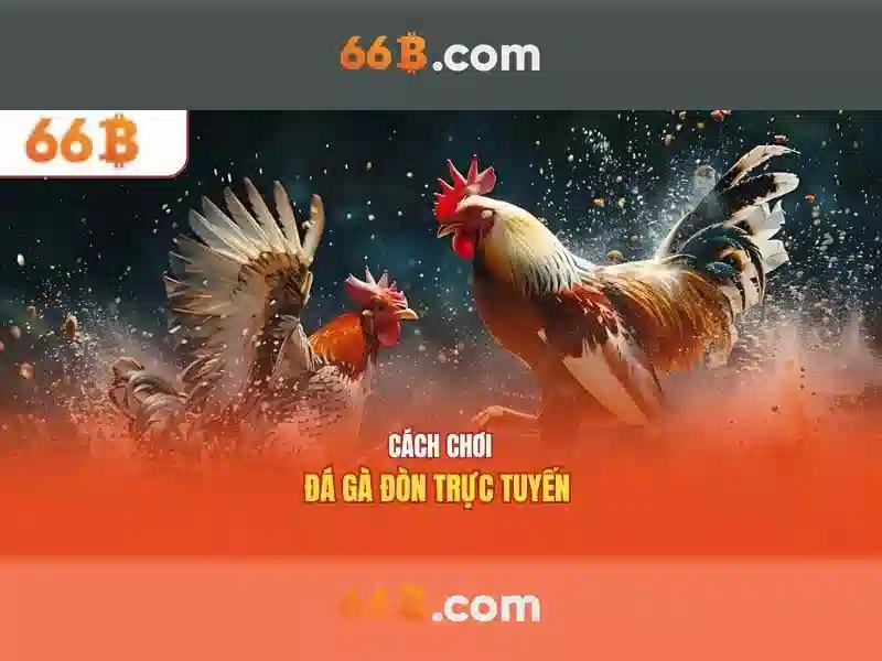 66B là gì và tác động của nó đối với AI