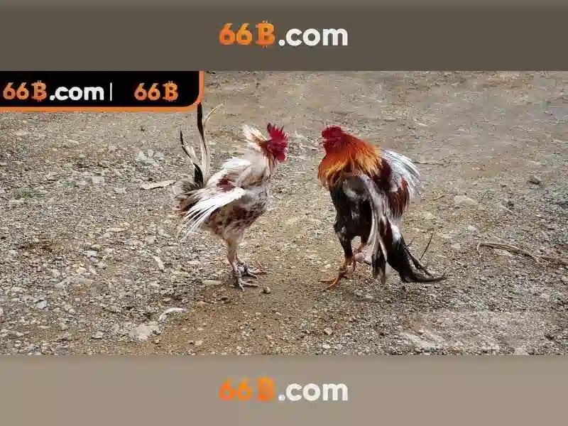 66B: Hiểu rõ về mô hình ngôn ngữ 66B tham số