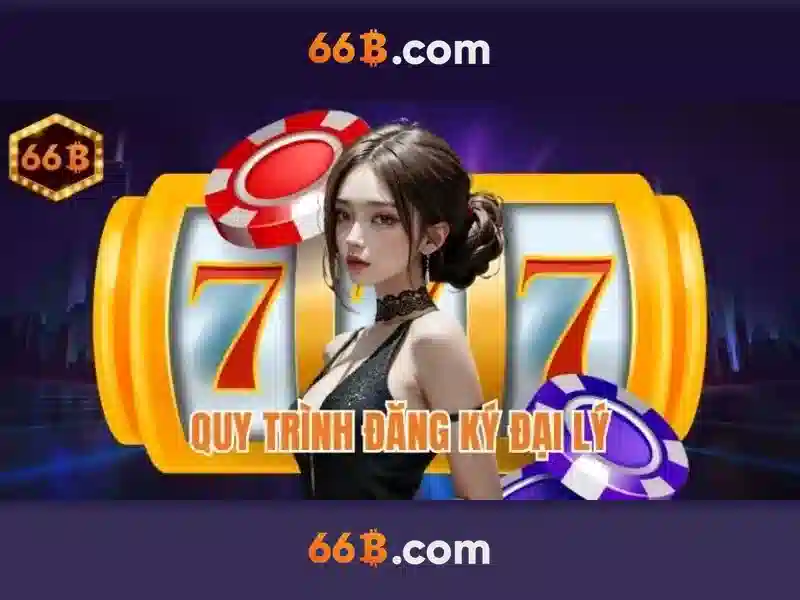 66b là gì\n