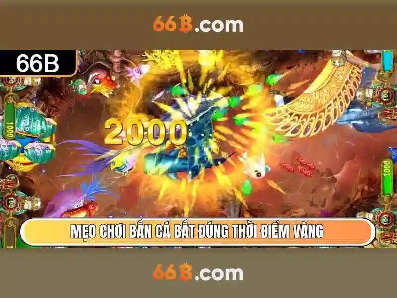 66B: Tổng quan và Ứng dụng