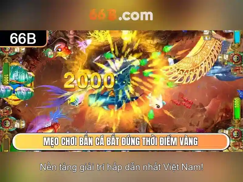 Khả năng và giới hạn\n\n