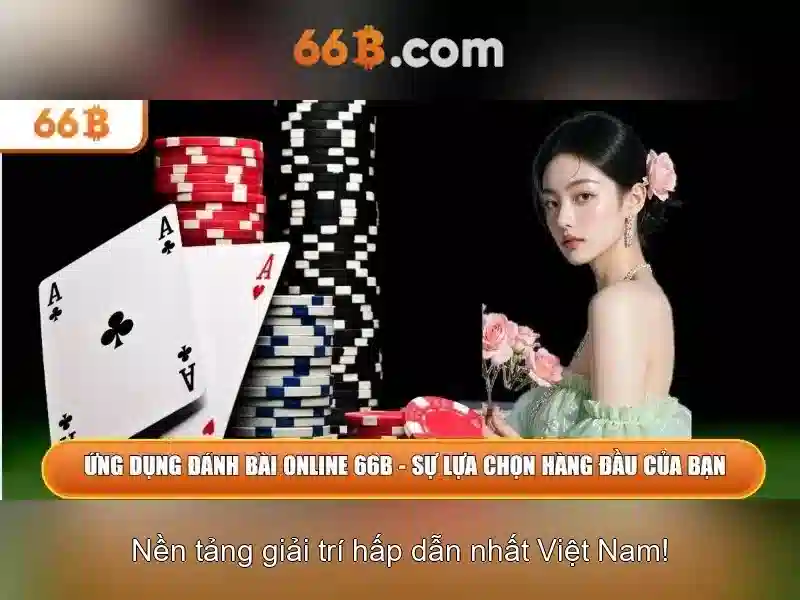 Kiến trúc và khả năng