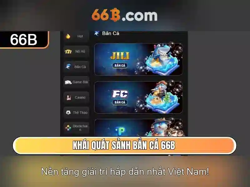 66b là gì\n\n