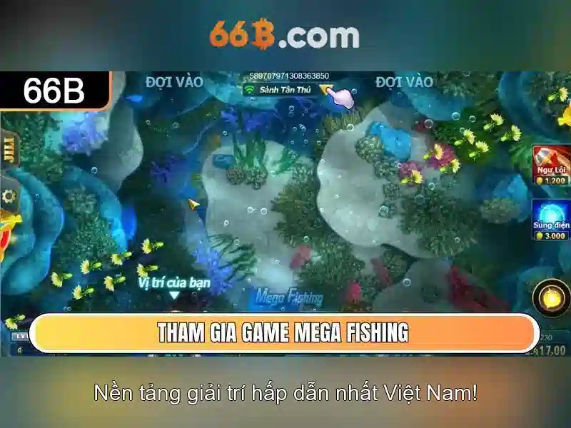 Giới thiệu về 66B