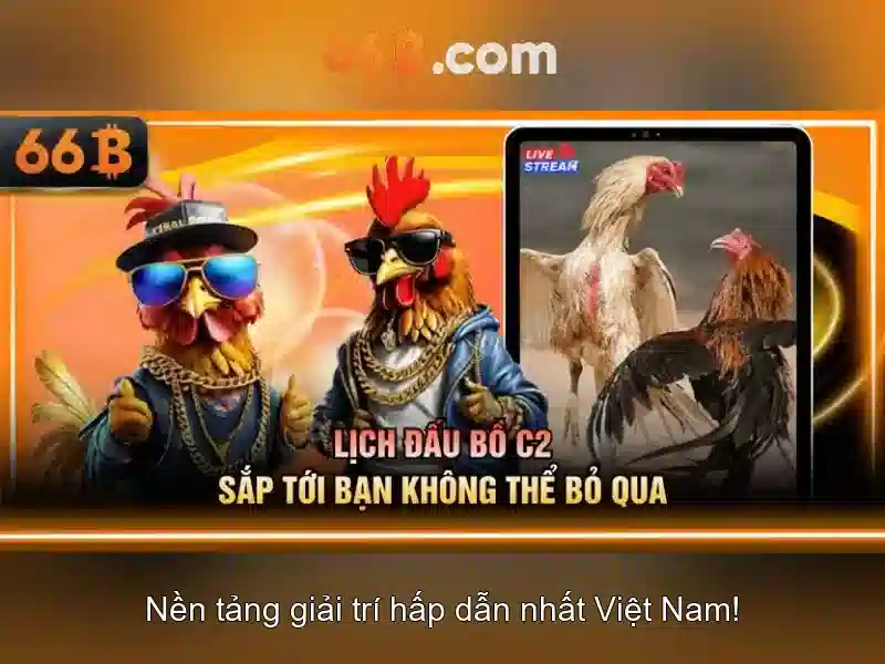 Cấu trúc và quy mô của 66B