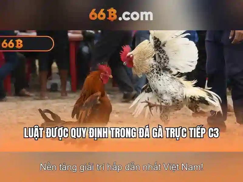 66B: Kích thước, khả năng và tương lai của AI