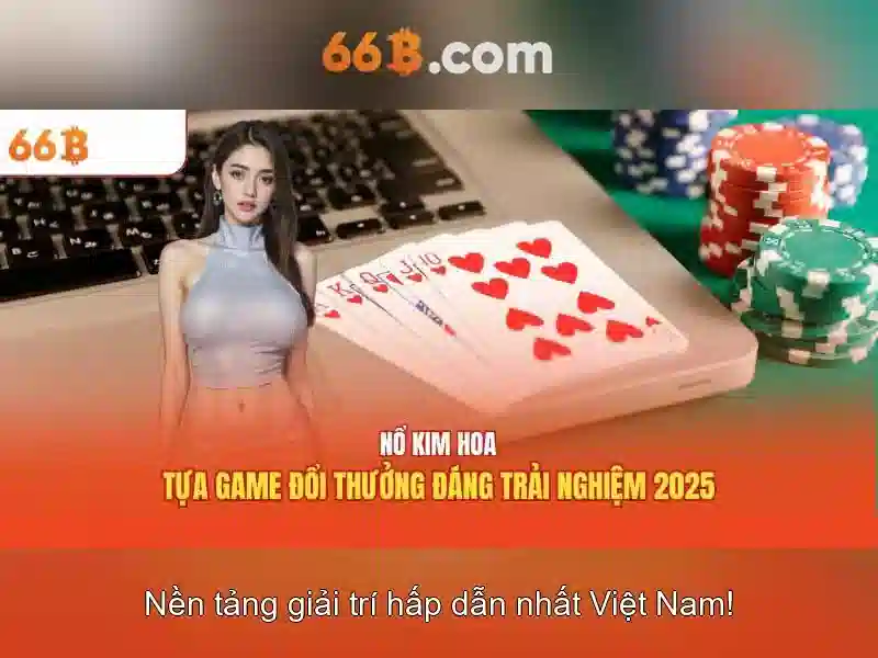 66b: Khái niệm, công dụng và tương lai