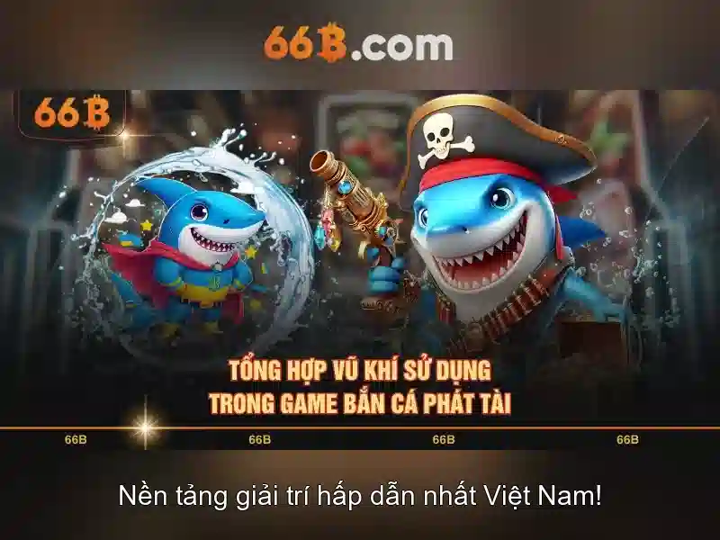 66b: Tổng quan về kích thước và ứng dụng