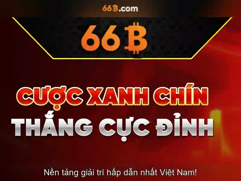 Kích thước và hiệu suất\n\n