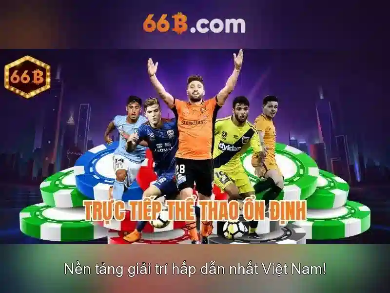 Tương lai và đánh giá\n