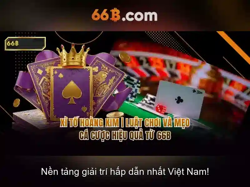 Kết luận về tương lai của 66B