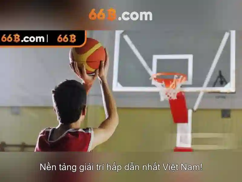 66B là gì?