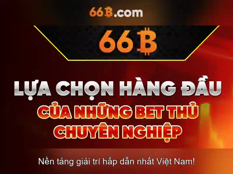 Các đặc điểm nổi bật của 66b