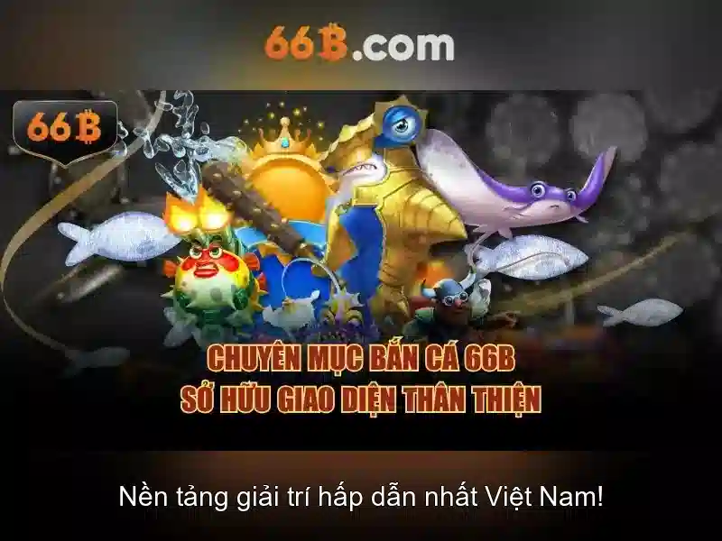 Khái niệm 66B\n