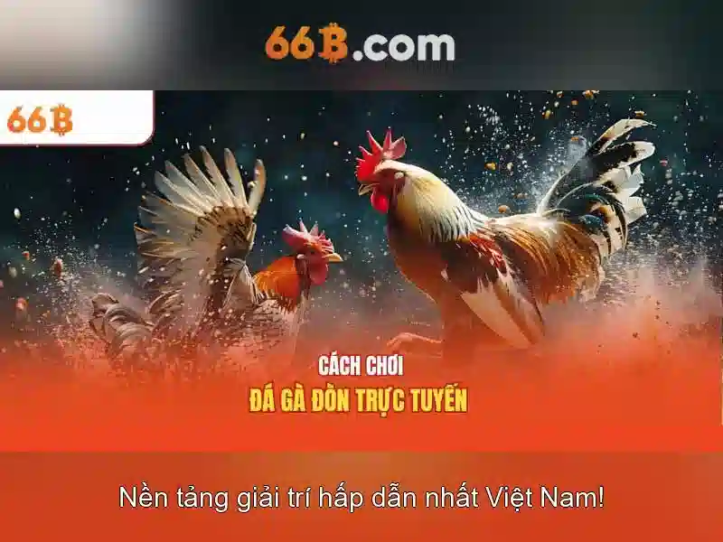 Kiến trúc tổng quát 