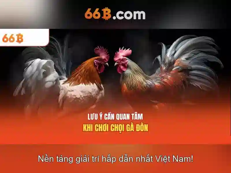66b: Hành trình khám phá công nghệ đột phá