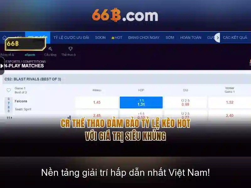 Giới thiệu về 66b\n