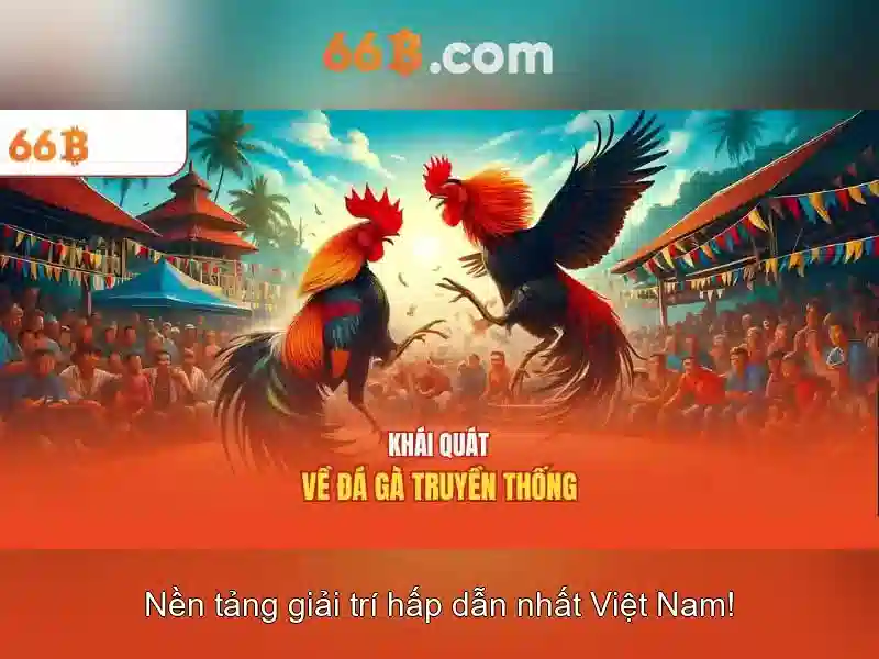 Giới thiệu về 66b\n