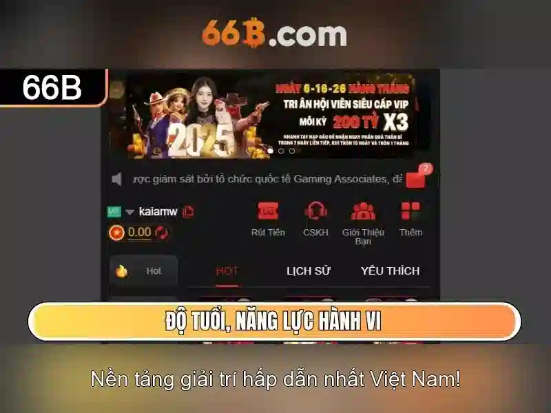 Cấu trúc và tham số của 66B