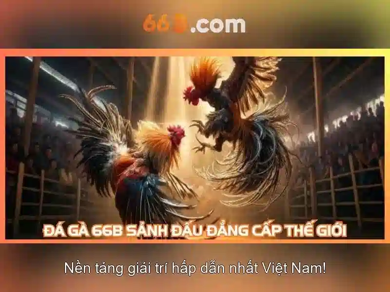 66b: an toàn và tiêu chuẩn\n