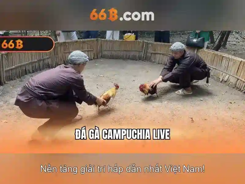 Ý nghĩa xã hội và ứng dụng của 66b
