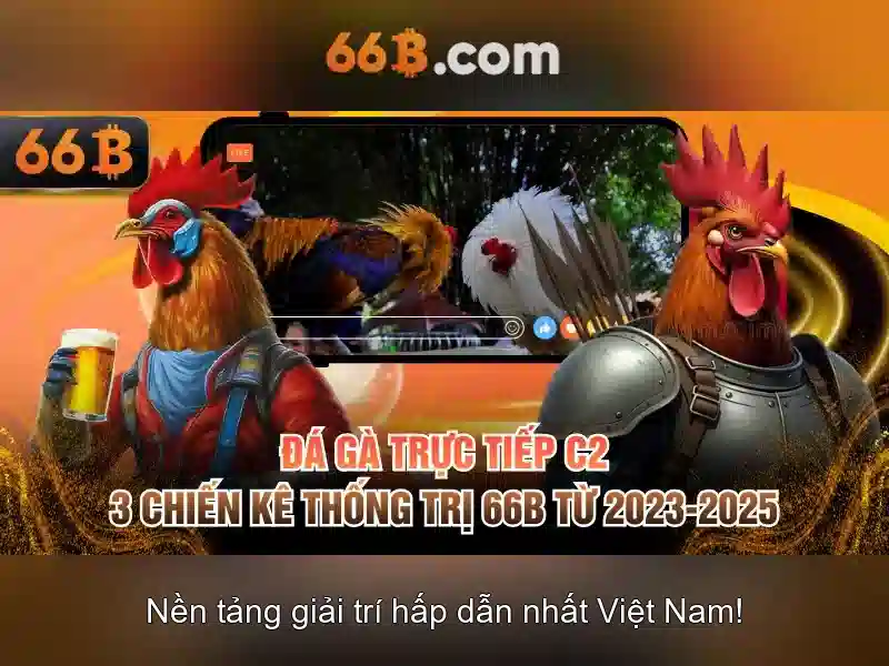 66b là một khái niệm và ứng dụng trong dữ liệu
