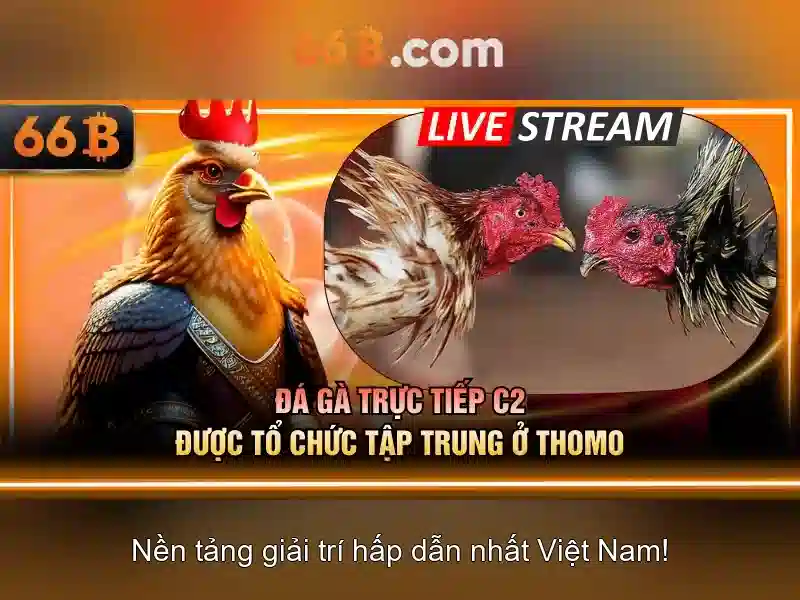 66b: Khám phá khái niệm và ứng dụng trong kỷ nguyên số