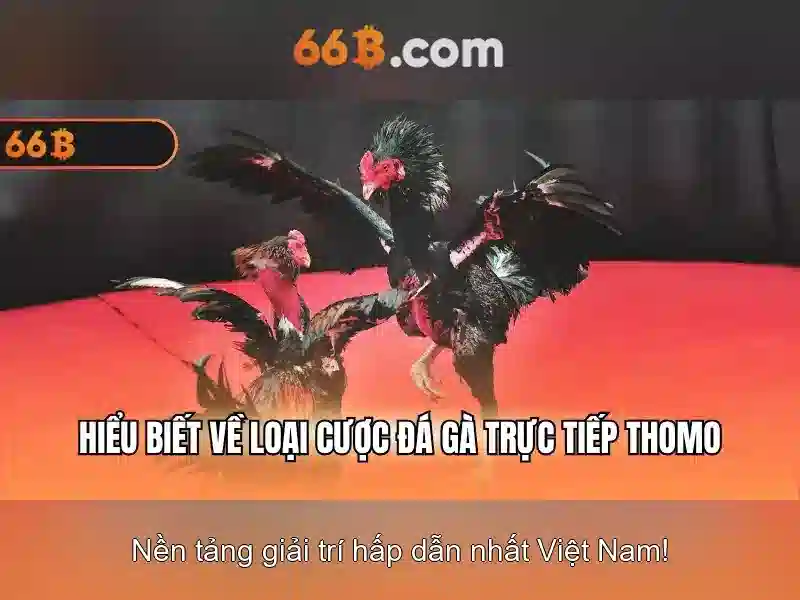 66B là gì? Khám phá mô hình ngôn ngữ 66B và ứng dụng