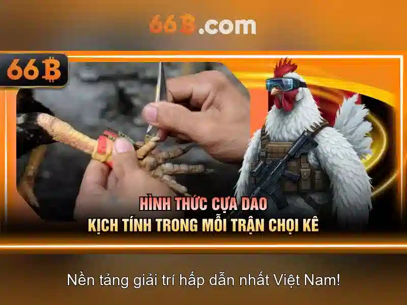 66B: Khái niệm, ứng dụng và thách thức