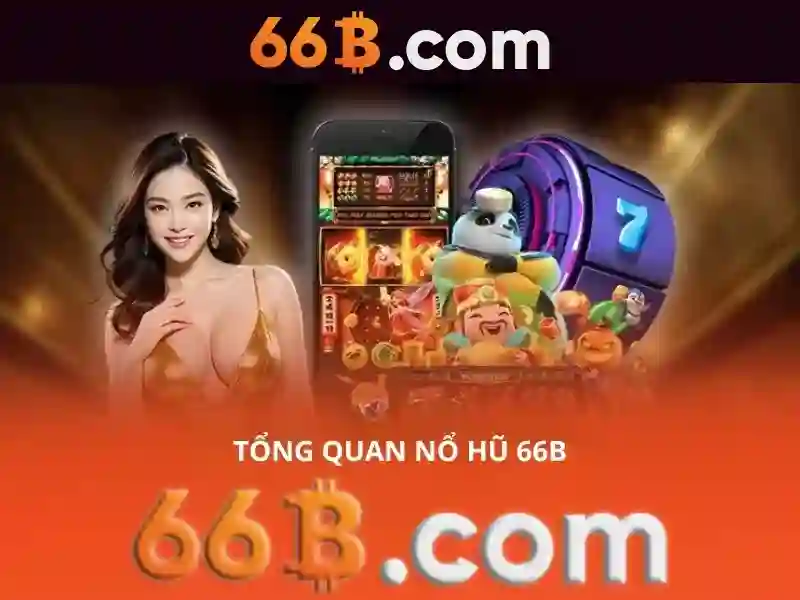 Tous les jours 66b cmt8: Hành trình thương hiệu và trải nghiệm người dùng