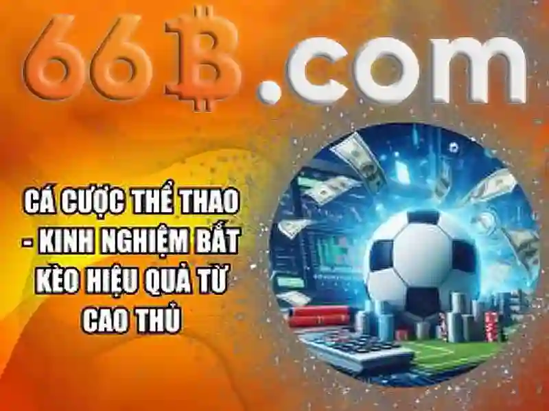 66b: một cái nhìn tổng quan