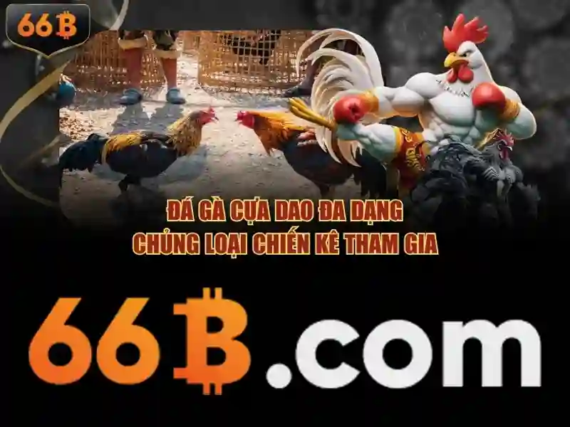 Khái niệm cơ bản về 66B