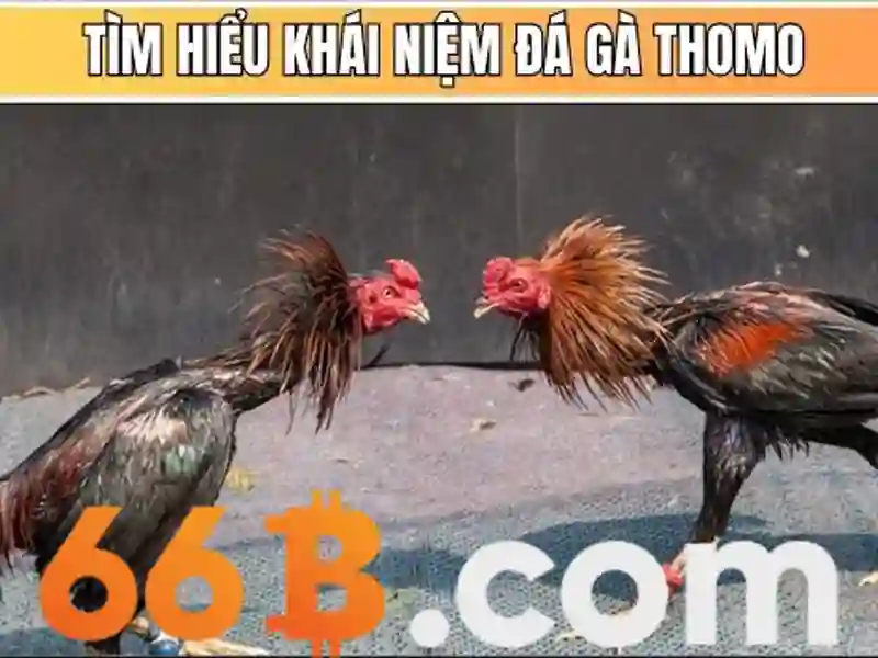 66B: Mô hình ngôn ngữ quy mô lớn và những điều cần biết