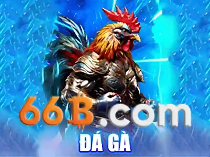 66b là gì?