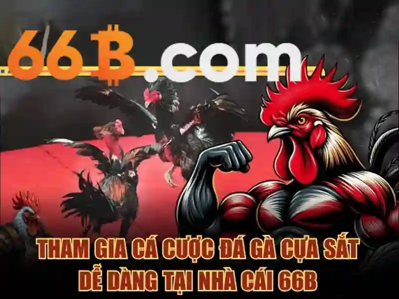 66b nguyễn chí sách – Kết luận và lời mời trải nghiệm