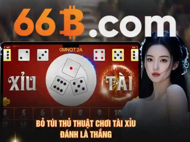 66b-tong-quan